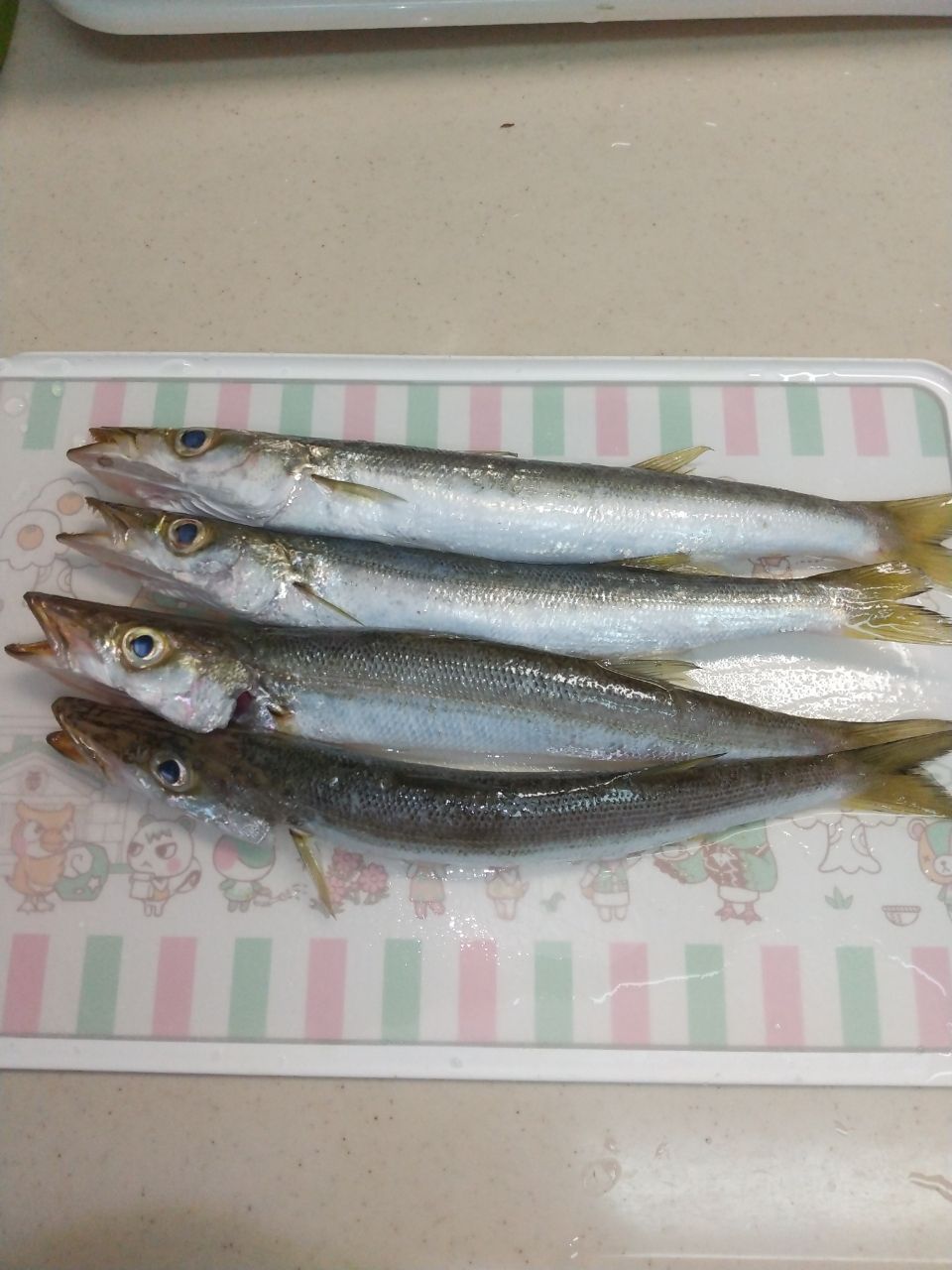 カマス