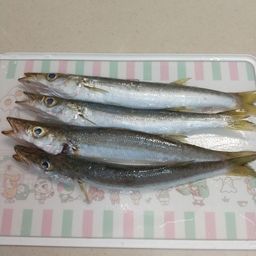 カマス