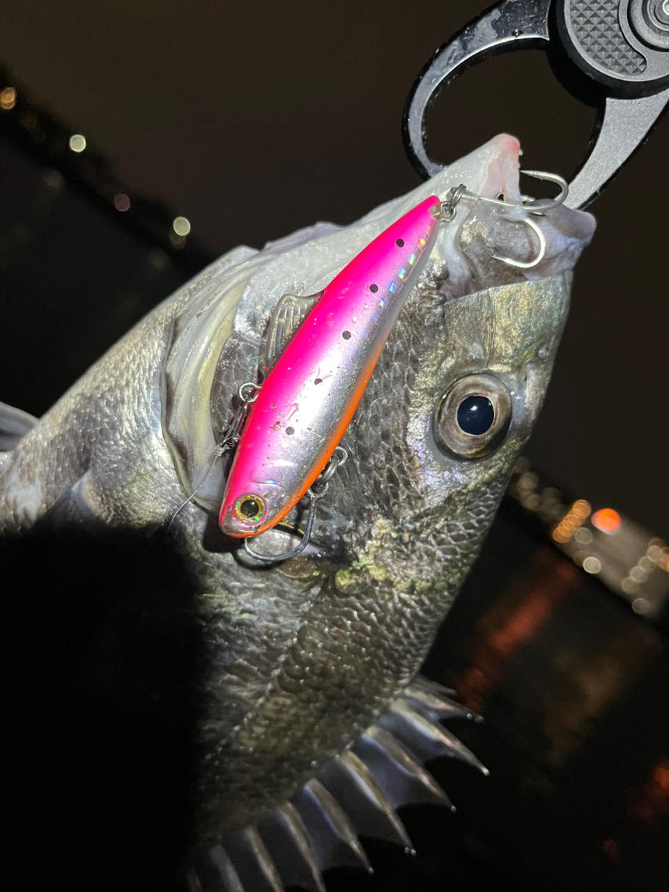 SHIMANO 18エクスセンスジェノス S810ML/Rの最安値・インプレ
