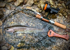 イワナの釣果