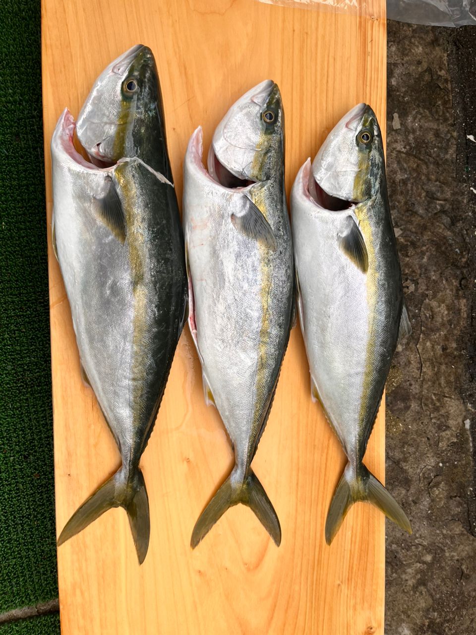 まｧさんの釣果 2枚目の画像