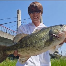 ブラックバス