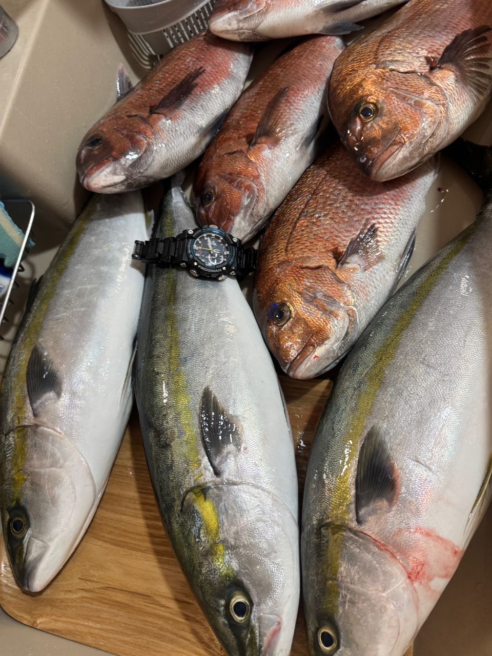 KAZUMASA_SLHさんの釣果 2枚目の画像