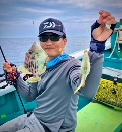 カワハギの釣果
