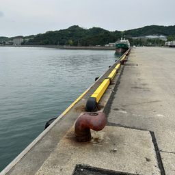 コウイカ