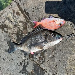 タイ
