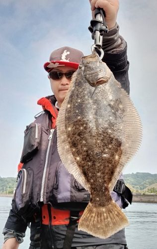 ヒラメの釣果