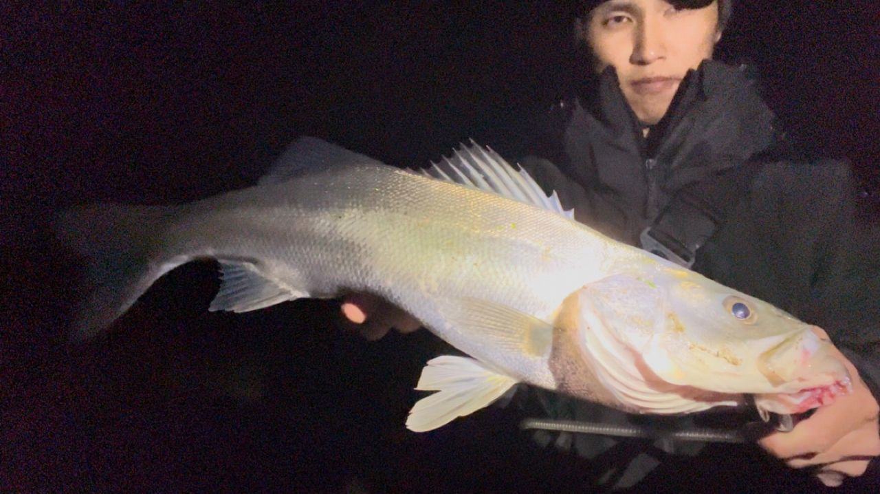 チヌ