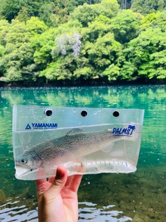 ニジマスの釣果