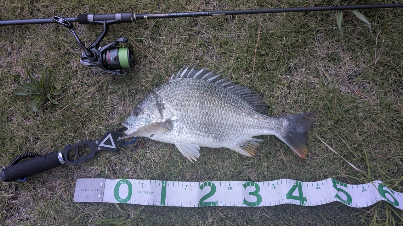SHIMANO 20ヴァンフォード C3000XGの最安値・インプレ・釣果