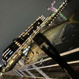 アジ