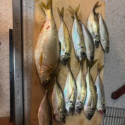 アジ