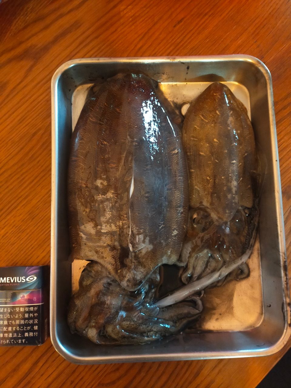 モンゴウイカ