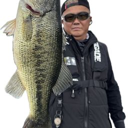 ブラックバス