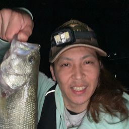 ブラックバス