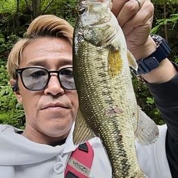 ラージマウスバス