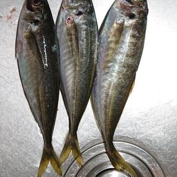 アジ