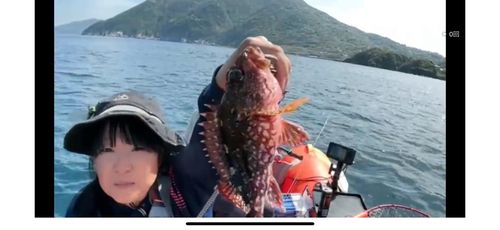 カサゴの釣果