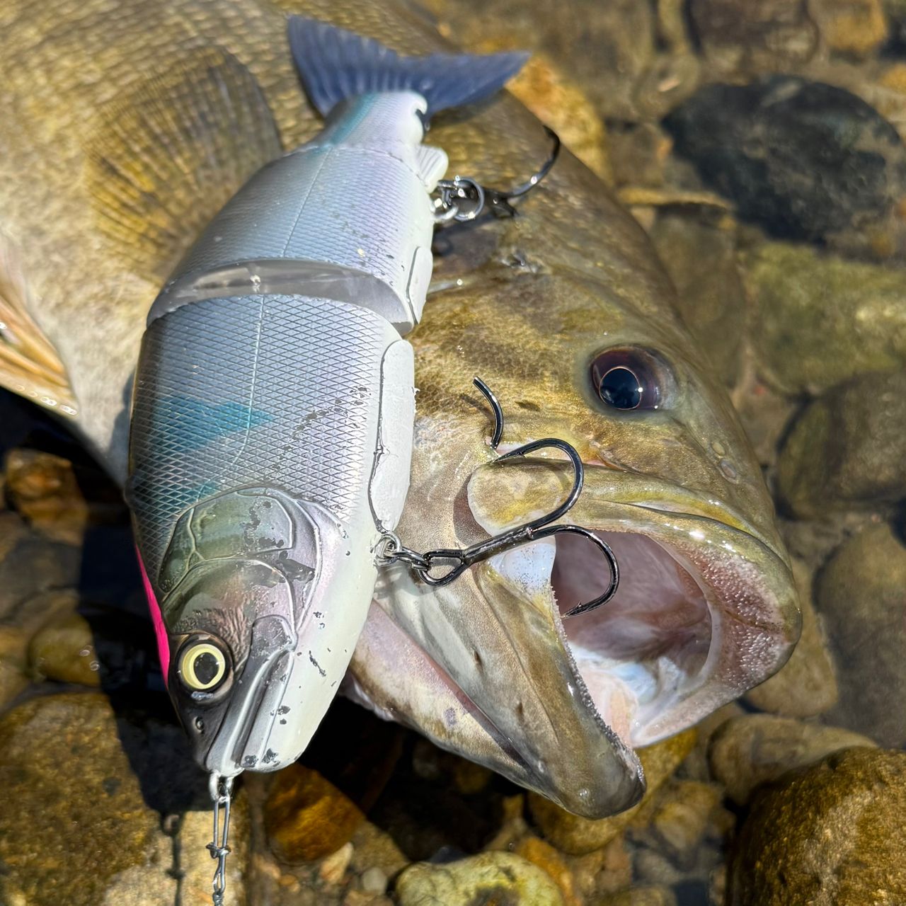 シマノ ディスラプション BIG BAIT C610 XX 709_1_800.jpg?20230128172031
