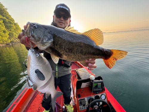 ブラックバスの釣果