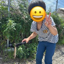 シロギス