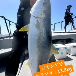 ヒラマサ