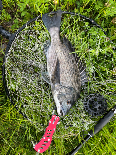 釣り人応援セール 太刀魚ジギングロッド B632MH+マットブラック