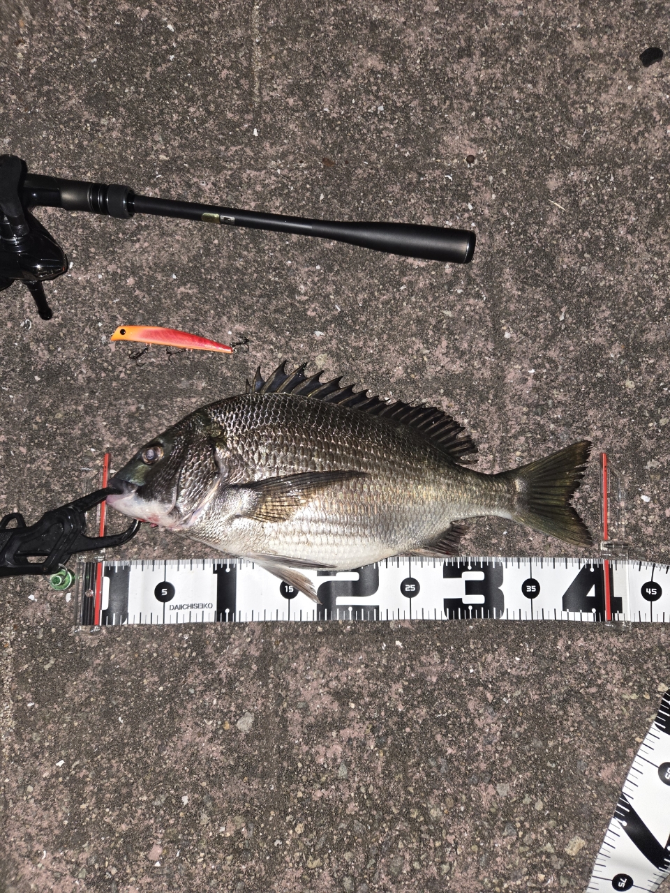 SHIMANO 23ディアルーナ S90Lの最安値・インプレ・釣果 | 本音の