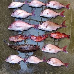 タイ