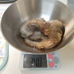 マダコ