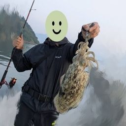 コウイカ