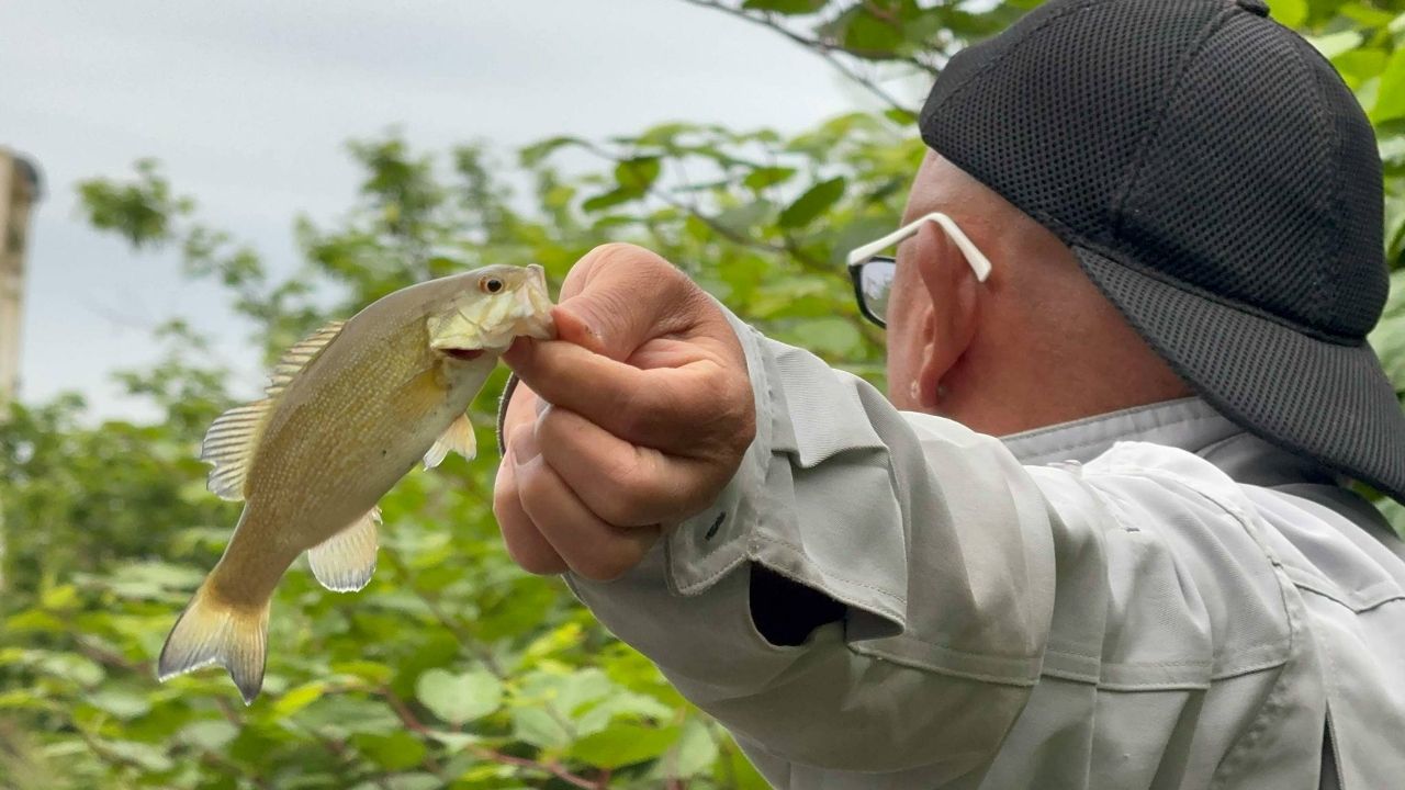 スモールマウスバス