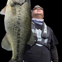 ブラックバス