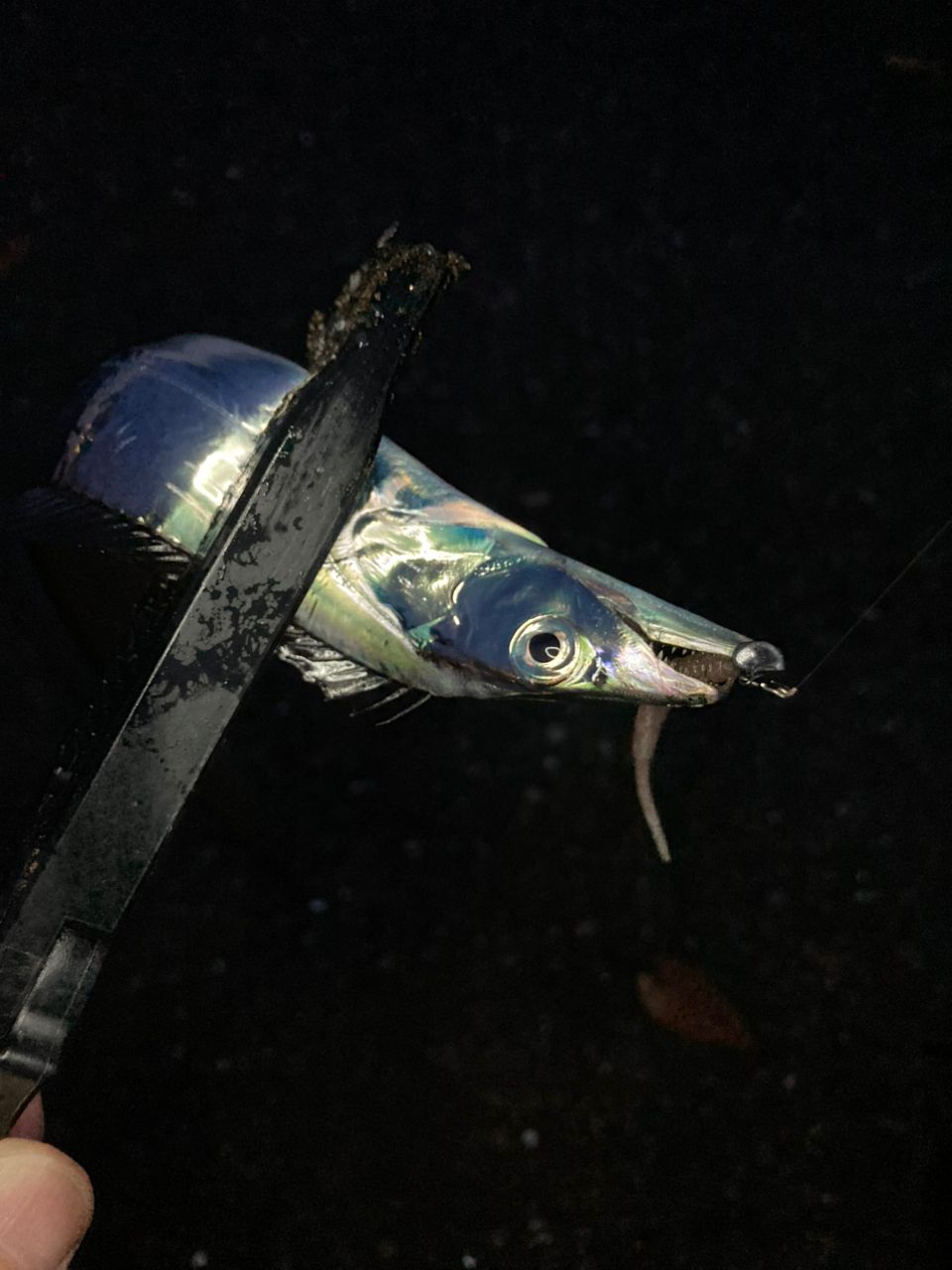 アジ