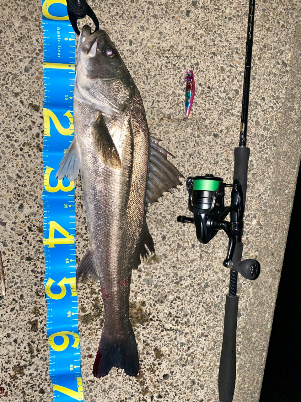 SHIMANO 18ディアルーナ S90MLの最安値・インプレ・釣果 | 本音