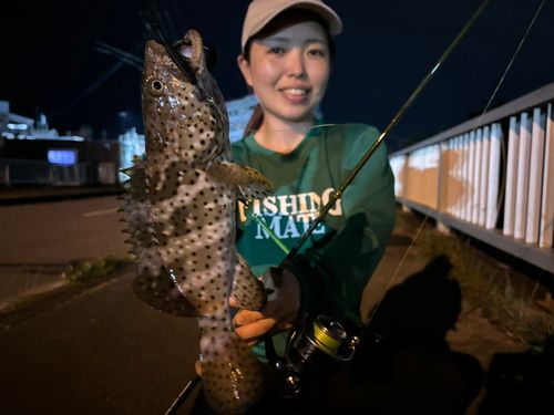 ヤイトハタの釣果