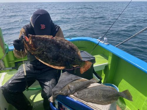 ヒラメの釣果
