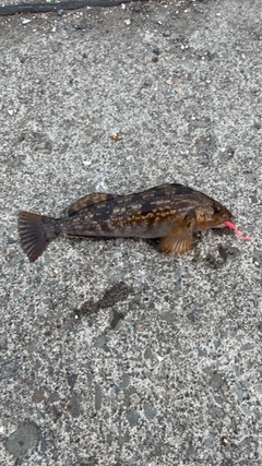 釣果
