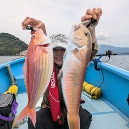 シロアマダイ