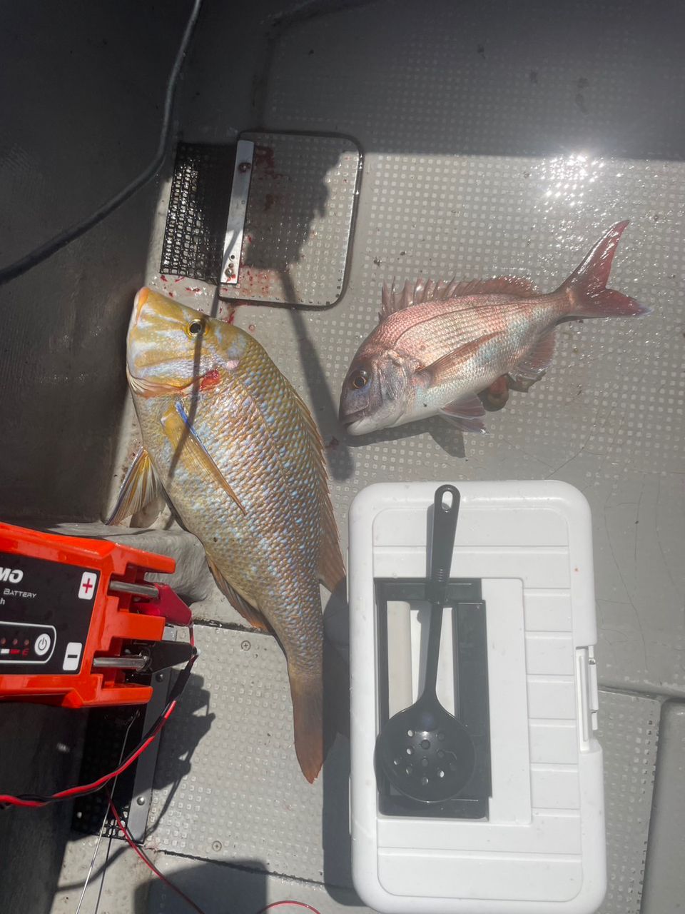 田畑良朗@なつき丸さんの釣果 2枚目の画像