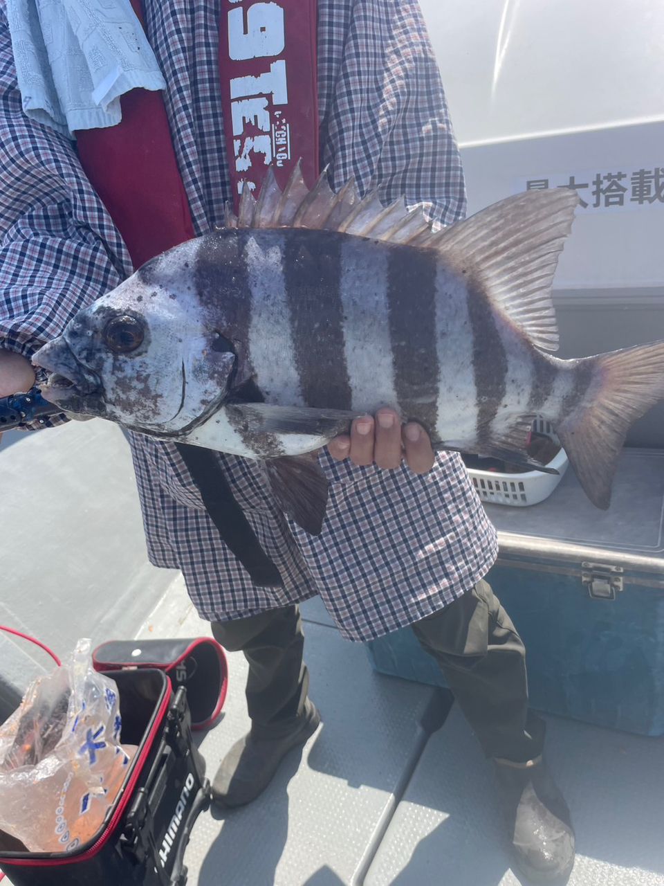 田畑良朗@なつき丸さんの釣果 3枚目の画像