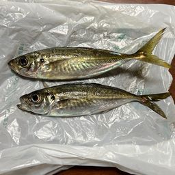 アジ