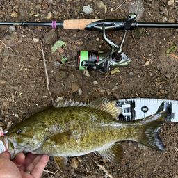 スモールマウスバス