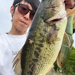 ブラックバス