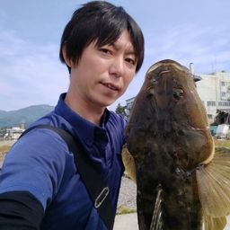マゴチ