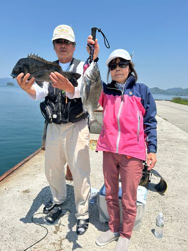 クロダイの釣果