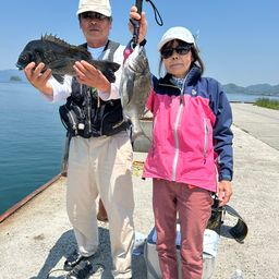 クロダイ