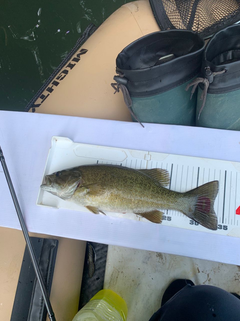 スモールマウスバス