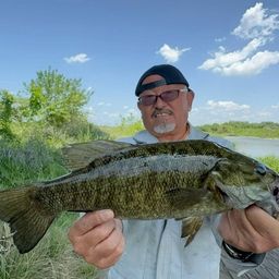 スモールマウスバス