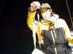 ヤリイカの釣果